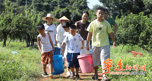 宁远：桃李挂满枝 采摘热激活乡村“甜蜜经济”2_副本500.png